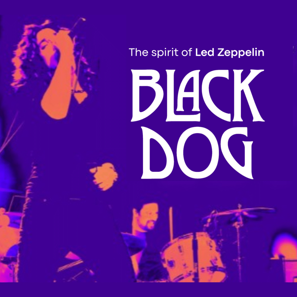 Black Dog
